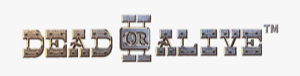 Dead or Alive 2 logo